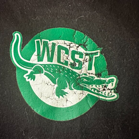 ECO Authentic Hoodie Large Black Full Zip WCST Gator Sweatshirt Men’s-A317 - Picture 6 of 6